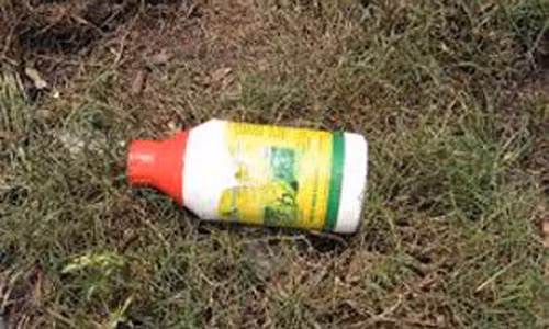 Huệ đã âm mưu đầu độc chồng mình là anh Phi nhưng bất thành. Ảnh minh họa.