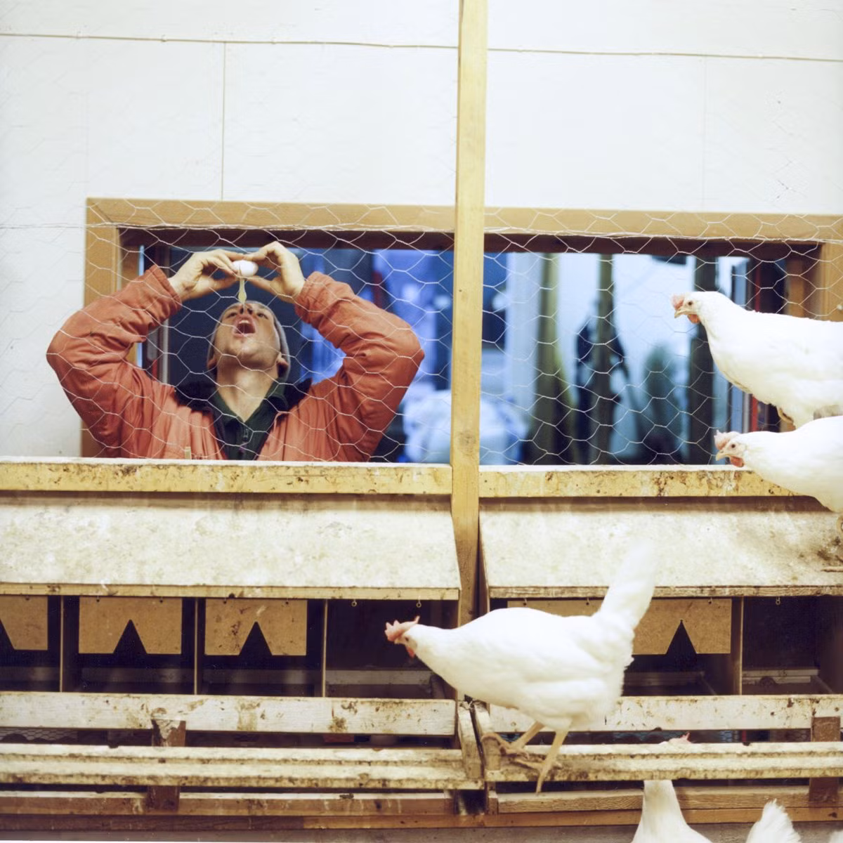 Nguyên tắc cơ bản ở nhà tù trên đảo Bastoy là mọi người tôn trọng và tin tưởng lẫn nhau. Việc tù nhân làm việc trong một trang trại, chăn nuôi gia súc, chế biến gỗ với hy vọng sẽ giúp phạm nhân sớm trở lại xã hội và khả năng tái phạm tội thấp hơn.