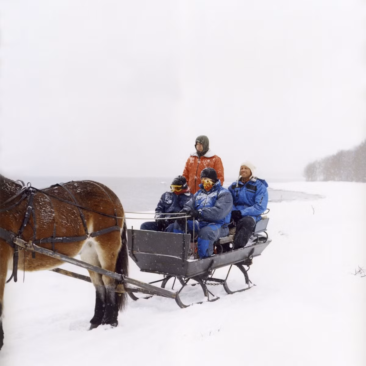 Tù nhân sử dụng ngựa kéo xe trượt tuyết để di chuyển thay vì dùng nhiên liệu sinh học nhằm bảo vệ môi trường sinh thái. Các phạm nhân được học cách yêu thương, bảo vệ động vật khi cải tạo tại nhà tù trên đảo Bastoy.