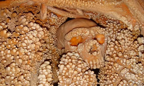 Tiet lo bat ngo ve nguoi Neanderthal qua xuong hoa thach