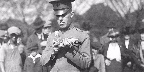 Bốn con chim bồ câu bao gồm cả Gustav và một con chó có tên Brian đã được Hội bảo vệ động vật PDSA trao Huy chương Dickin cho những động vật đặc biệt gan dạ, có công lớn trong cuộc đổ bộ D-Day.