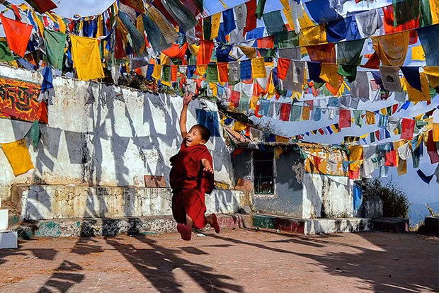 Tác giả Mujeeb Kizhakkechalil, Ấn Độ giành giải 4 với tác phẩm này. Tiền thưởng là 12.000 USD.