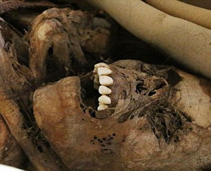 Một phát ngôn viên cảnh sát thông báo: "Chúng tôi nhanh chóng xác định được đây không phải là thi hài của một người mới chết gần đây. Chúng tôi đang điều tra tìm hiểu xem chiếc hộp chứa xác ướp 900 tuổi trên làm thế nào lại xuất hiện ở phía trước một khu vực khảo cổ lớn. Chúng tôi nghi ngờ có kẻ đã ăn trộm xác ướp 900 năm tuổi này. Có thể kẻ đó đã giấu xác ướp bên trong hộp các tông và dự định sẽ quay lại lấy sau".