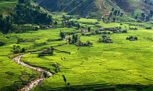 Đồi núi Sa Pa nổi bật với những ruộng lúa bậc thang xanh mướt mắt. Nơi đây được đánh giá là một trong 10 khu định cư ấn tượng nhất thế giới. Khi đến Sa Pa, du khách có thể đi bộ qua những ngọn đồi và mua những nữ trang hấp dẫn của người dân địa phương.