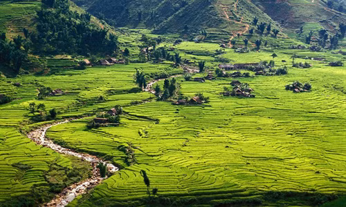 Đồi núi Sa Pa nổi bật với những ruộng lúa bậc thang xanh mướt mắt. Nơi đây được đánh giá là một trong 10 khu định cư ấn tượng nhất thế giới. Khi đến Sa Pa, du khách có thể đi bộ qua những ngọn đồi và mua những nữ trang hấp dẫn của người dân địa phương.