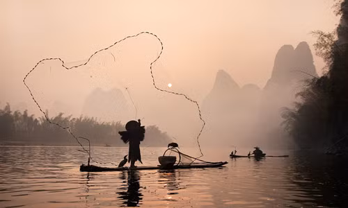 Vào mỗi buổi sáng sớm, ngư dân ở miền Nam Trung Quốc sử dụng chim cốc, đèn lồng và lưới để đánh bắt cá trên sông nước mà không cần sự hỗ trợ của các kỹ thuật, phương pháp hiện đại.