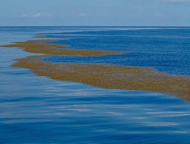 Biển Sargasso là một vùng biển ở giữa Bắc Đại Tây Dương, bị bao phủ bởi những dòng hải lưu. Nó tiếp giáp với hải lưu Gulf Stream về phía Tây; với hải lưu Bắc Đại Tây Dương về phía Bắc; với hải lưu Canary về phía Đông, với hải lưu Bắc Xích Đạo về phía Nam.