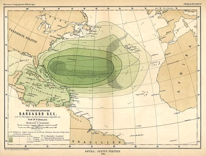 Sargasso là biển duy nhất không có bờ trên thế giới và là địa danh gắn với con tàu ma Mary Celeste cùng với sự biến mất của thủy thủ đoàn trên đó.