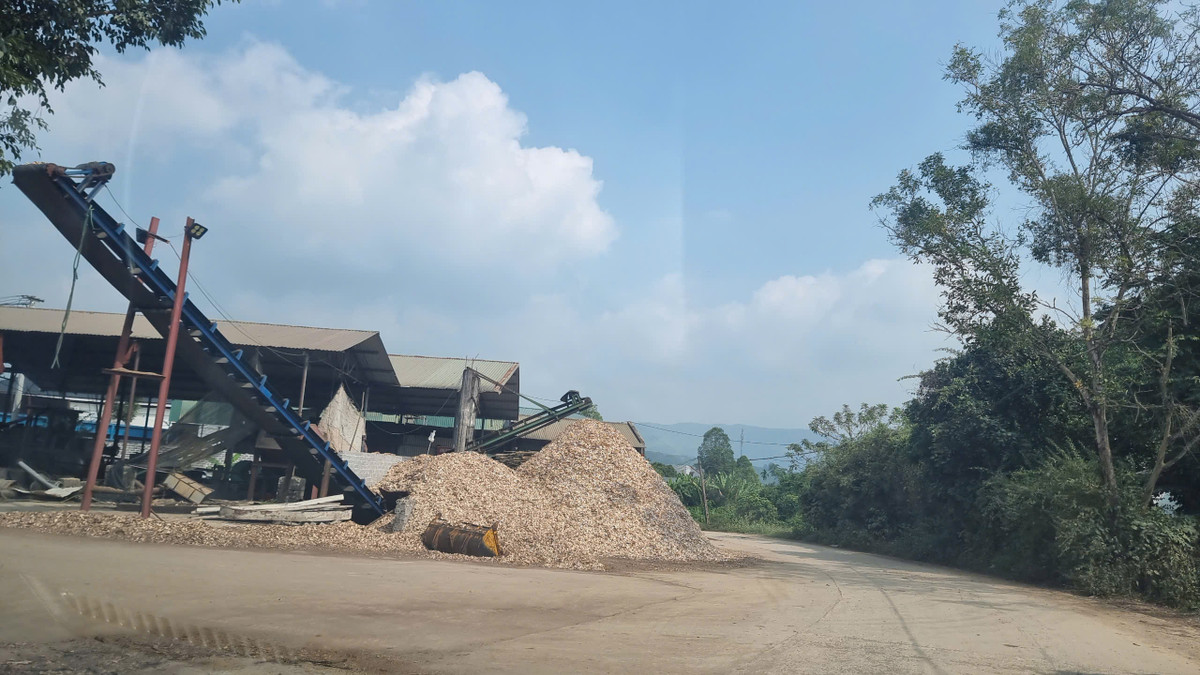 Nhức nhối loạt xưởng dăm gỗ hoạt động trái phép ở Hoà Bình - Hình 4 Nhuc nhoi loat xuong dam go hoat dong trai phep o Hoa Binh-Hinh-4