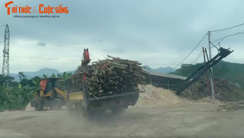 Nhức nhối loạt xưởng dăm gỗ hoạt động trái phép ở Hoà Bình Nhuc nhoi loat xuong dam go hoat dong trai phep o Hoa Binh