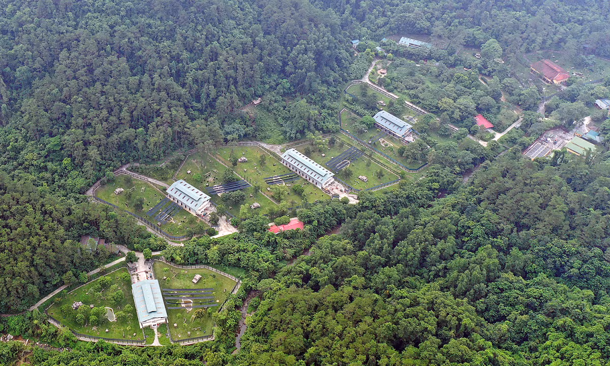 Nguy co mat rung tu du an du lich vuon Quoc gia Tam Dao