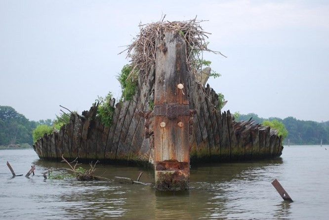 9. Đội tàu ma, Hoa Kỳ: Hàng chục chiếc tàu thuyền được gửi đến để phơi mình trên nghĩa địa tàu nổi tiếng tại Vịnh Mallow mỗi năm. Chúng trông giống như một đội tàu ma thững thời trôi xuyên qua mặt đất và từ từ biến mất dưới nước.