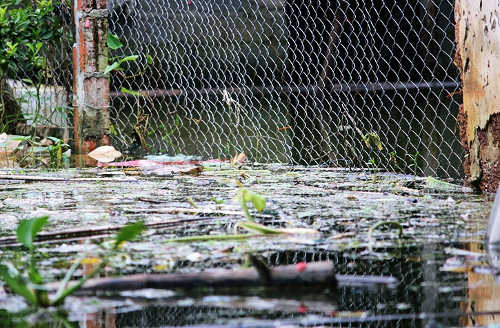 Rác thải lẫn trong nước lũ bốc mùi hôi thối vây từ ngoài...