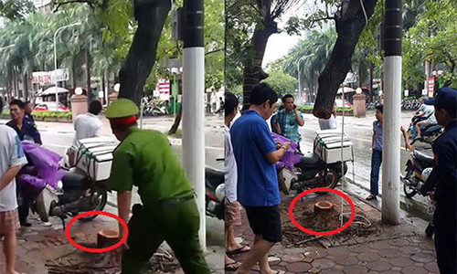 Cong an tom gon nhom trom cay Sua dai nao Ha Noi