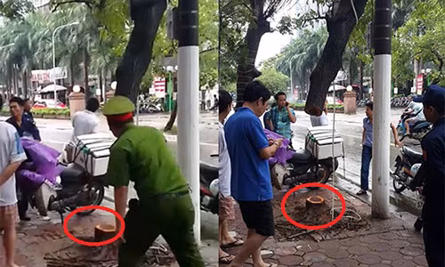 Cong an tom gon nhom trom cay Sua dai nao Ha Noi