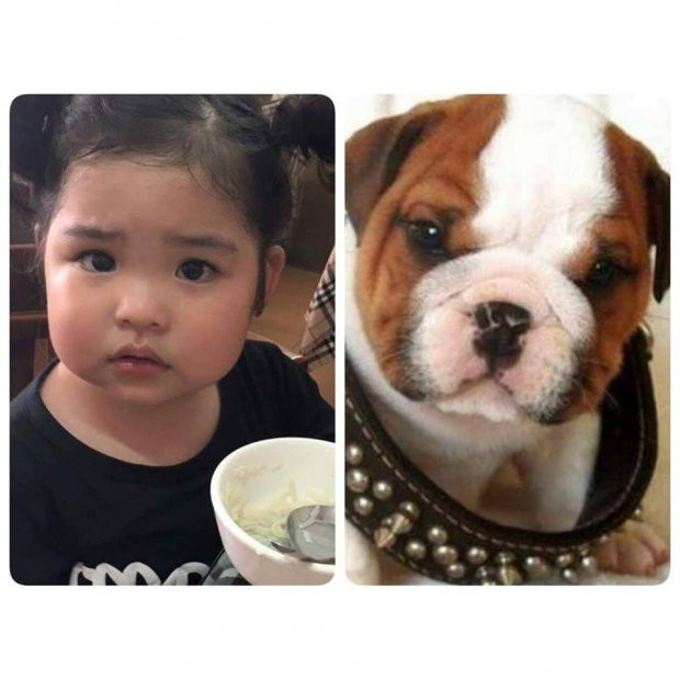 “Mẹ bảo mình sắp có em, nhưng em này hơi nhiều lông hay sao í”. 