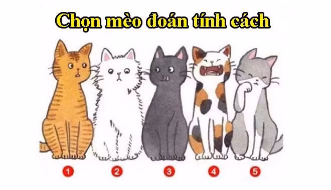 Chọn chú mèo mà bạn thích nhất sẽ nói lên được tính cách bản thân