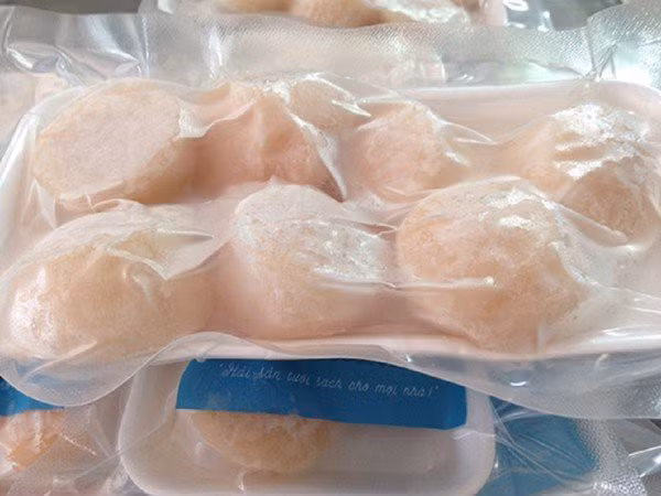 Sò điệp tươi hàng đông lạnh Nhật Bản có giá từ 1-1,7 triệu đồng/kg.