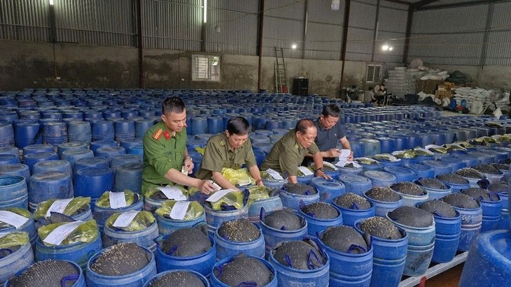 Hoa chat trong 3.500 tan gia do o Nghe An nguy hiem sao?-Hinh-2