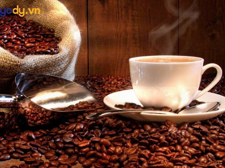 Moi nguy tiem an tu ca phe pha tap chat