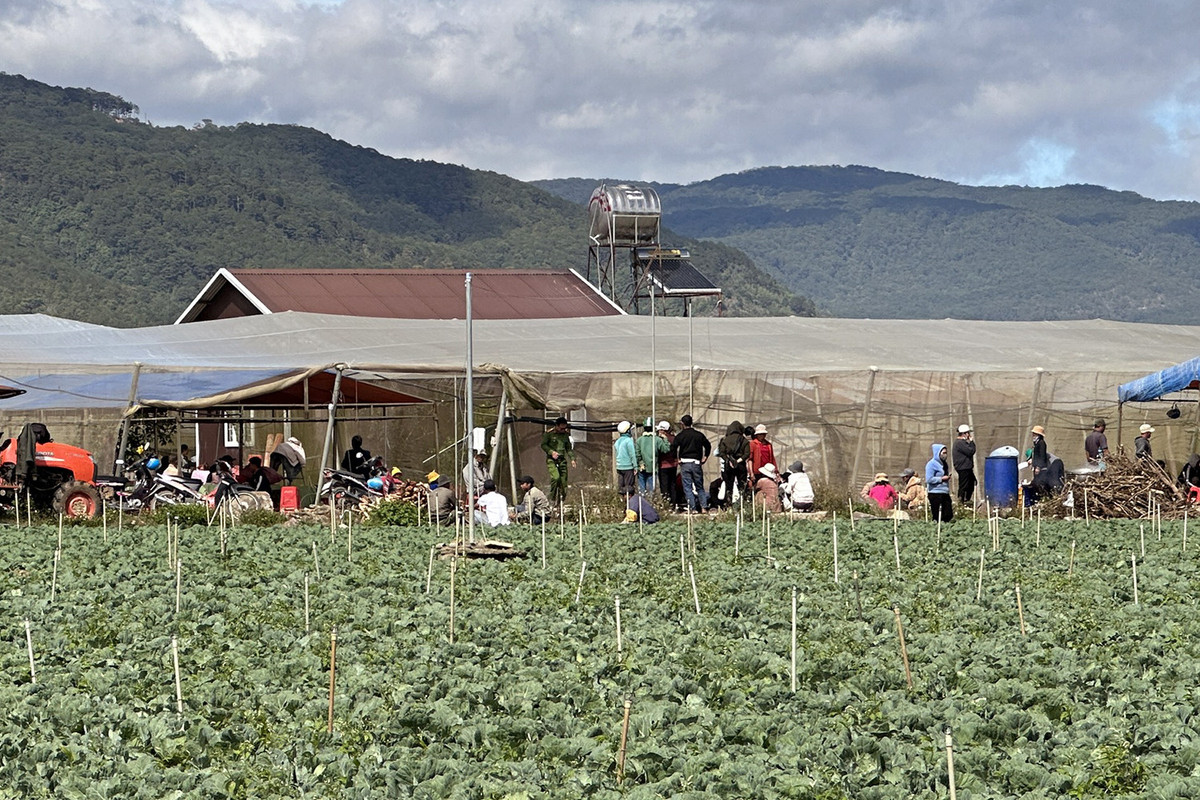 Tất cả đều bị Nay Y Tá sử dụng vật cứng đập trúng vùng đầu. Hai trong số đó là chị Ma Huyền và chị Pơ Jum Nai Dơng tử vong tại chỗ. Công an huyện Đơn Dương đã có mặt, khống chế, bắt giữ khẩn cấp đối tượng Nay Y Tá, đồng thời đưa ông Ya Tạo và bà Ka Nhàu lên Bệnh viện Đa khoa Lâm Đồng cấp cứu trong tình trạng hết sức nguy kịch. (Ảnh: Vietnamnet)