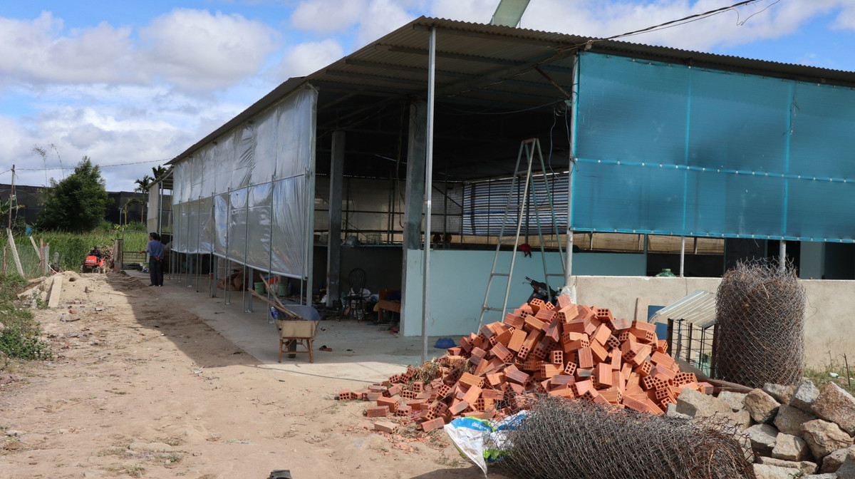 Án mạng kinh hoàng chưa từng có bất ngờ xảy ra đã phá vỡ cuộc sống bình yên của thôn Mlọn, thị trấn Thạnh Mỹ, vốn chủ yếu là người đồng bào dân tộc Kho và Churu sinh sống. Càng đau buồn hơn khi nạn nhân lại chính là cô Ma Huyền, giáo viên dạy môn Sinh học, Trường THCS Pró, huyện Đơn Dương. Một người hiền lành, hết lòng vì học sinh, được nhiều người quý mến. (Ảnh Dân Việt) 