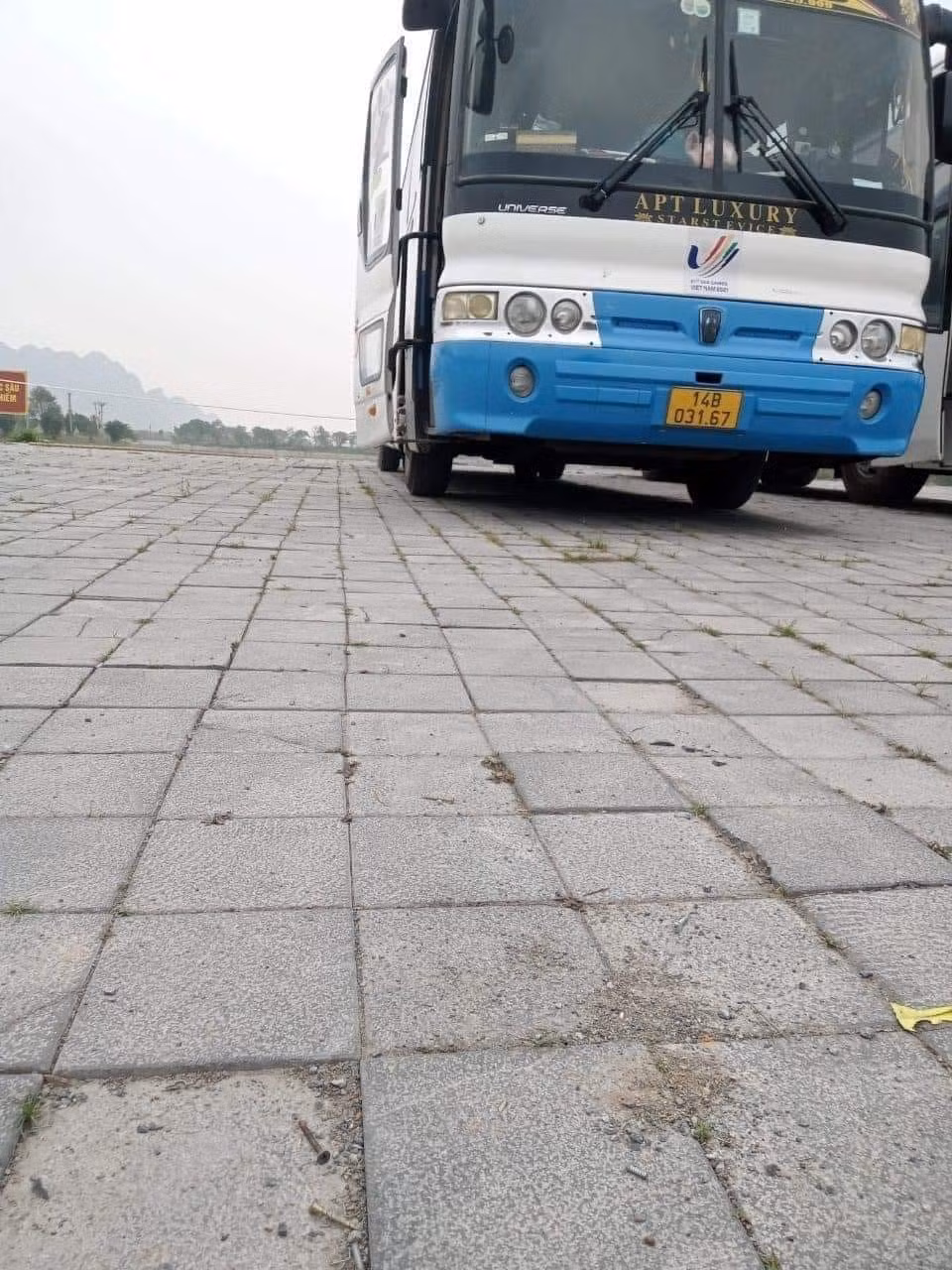 Trao đổi với báo chí, thượng tá Trịnh Minh Hoàng, Trưởng Công an huyện Kim Bảng cho hay: "Các đinh vít này do các nhà thầu lắp biển quảng cáo, sau khi dời đi thì không nhặt hết đinh vít rơi tại khuôn viên chùa. Hiện BQL đã khắc phục xong, hoàn toàn không có chuyện nạn "đinh tặc" xuất hiện tại chùa Tam Chúc".