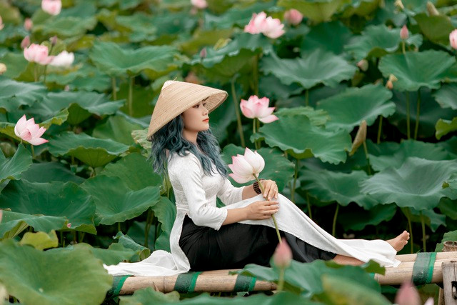 Thợ ảnh hốt “bạc triệu” mỗi ngày nhờ mùa sen nở rộ - Hình 2 Tho anh hot “bac trieu” moi ngay nho mua sen no ro-Hinh-2