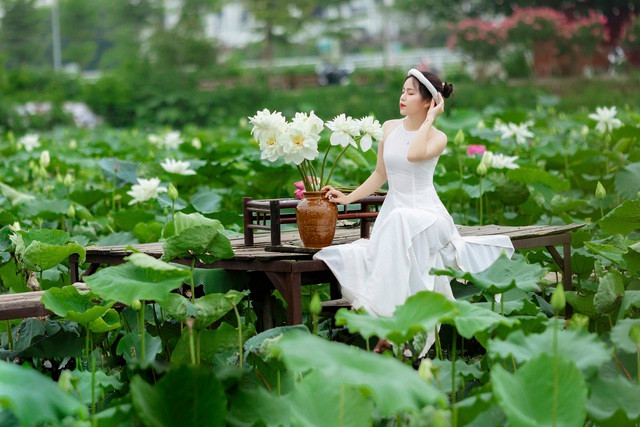 Thợ ảnh hốt “bạc triệu” mỗi ngày nhờ mùa sen nở rộ - Hình 8 Tho anh hot “bac trieu” moi ngay nho mua sen no ro-Hinh-8