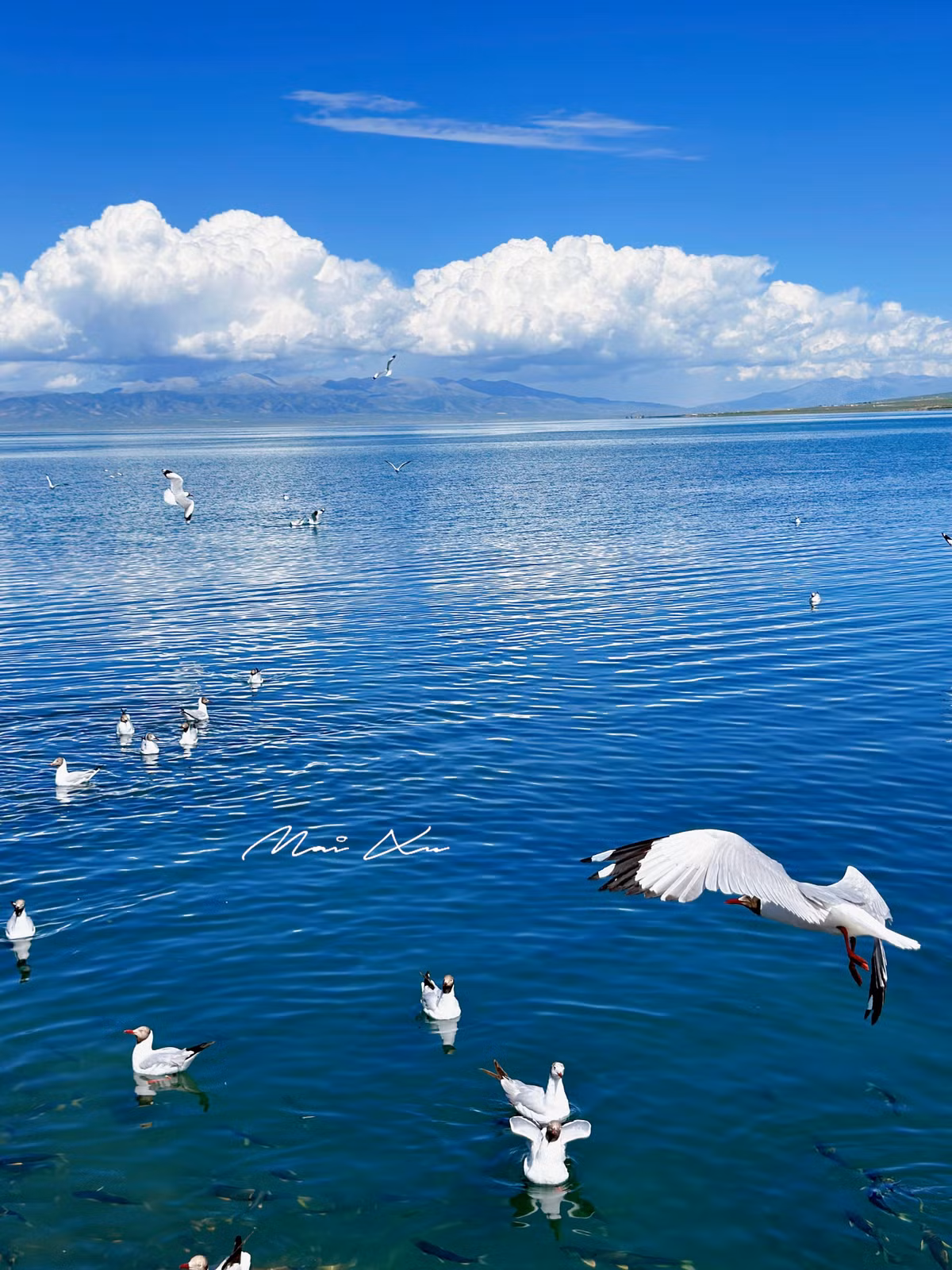 Ở Cam Túc, Mai khám phá các địa danh: Ðôn Hoàng, núi cầu vồng Ðan Hà. Còn đến Thanh Hải, Mai dành thời gian lang thang ở hồ Thanh Hải, cánh đồng hoa cải vàng trải dài hàng chục km ở huyện Môn Nguyên và huyện Mã Ða, nơi khởi nguồn của con sông Hoàng Hà. Bầu trời trong xanh, mặt nước hồ yên ả là điểm nhấn của Thanh Hải trong những ngày hè.