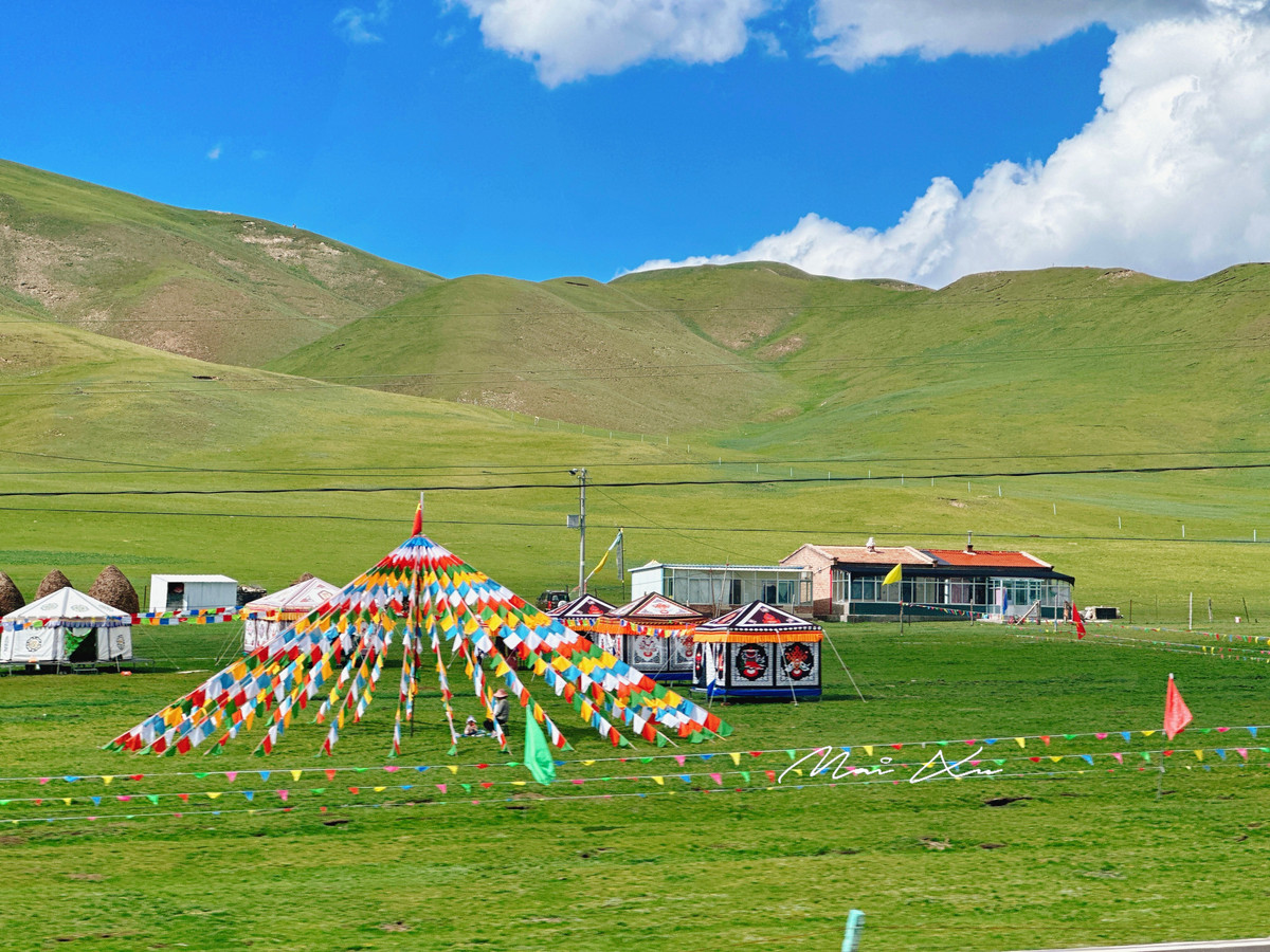 Cảnh sắc xanh mát của một cao nguyên nằm gần hồ Tinh Tú Hải khiến nữ du khách thích mê. "Trong chuyến đi, mình còn được một gia đình người Tạng mời vào lều uống trà bơ, nghe họ hát. Tuy họ không nói được tiếng Trung Quốc phổ thông, chỉ giao tiếp bằng ngôn ngữ cơ thể, nhưng mình thấy rất vui và cảm nhận được sự hiếu khách của họ”, cô gái kể thêm.