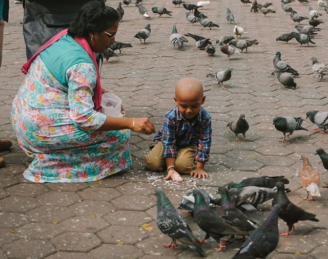 Du khách cho chim bồ câu ăn tại khu vực hang động Batu.