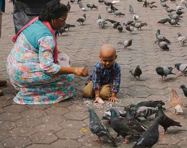 Du khách cho chim bồ câu ăn tại khu vực hang động Batu.