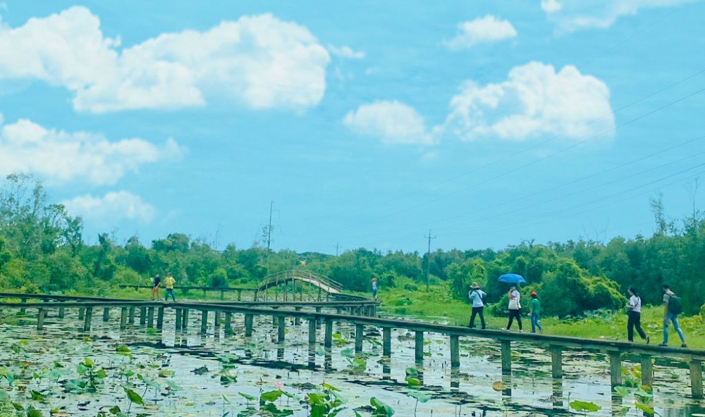 Check-in làng nổi Tân Lập với rừng tràm xanh mát bên dòng kênh Check-in lang noi Tan Lap voi rung tram xanh mat ben dong kenh