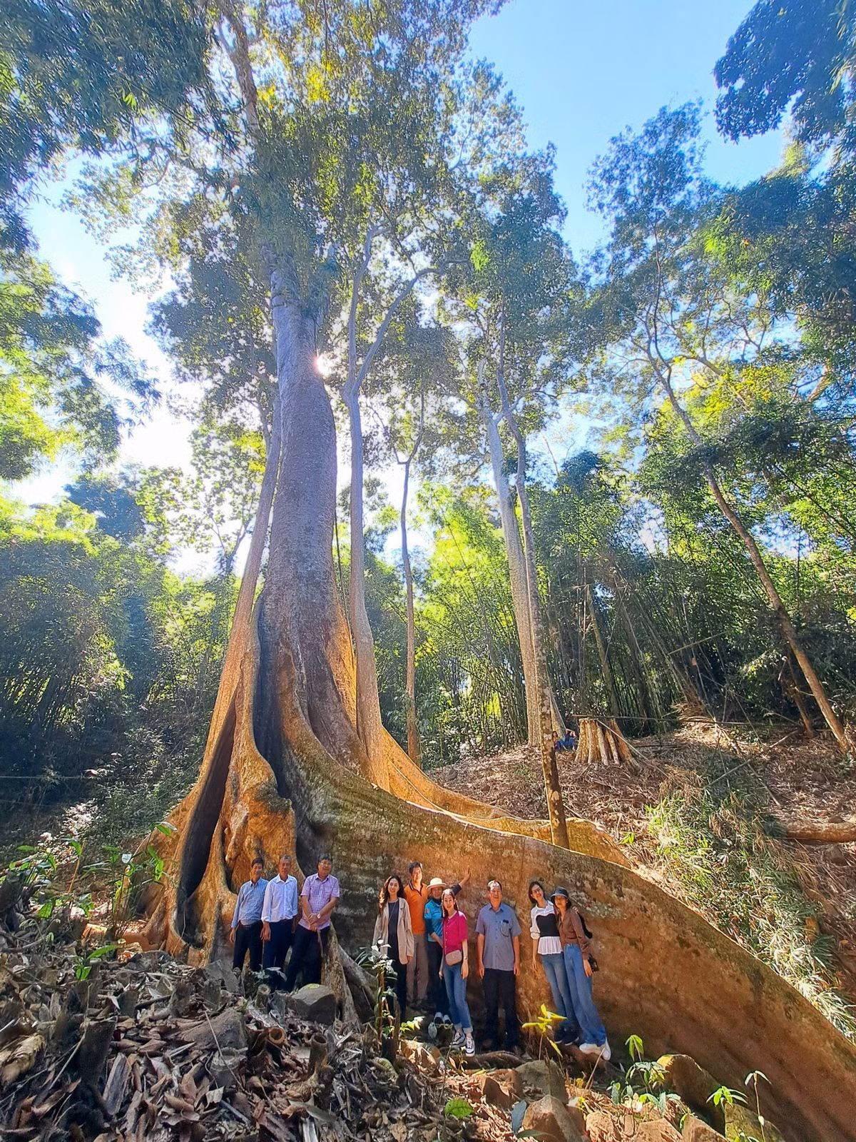 Tại đây, du khách sẽ được tham quan, khám phá nhiều địa điểm như thác Đắk Mai 1, thác Lưu Ly, hồ Hoa Mai, thăm cây di sản, đồi thông và nhất là được hòa mình vào thiên nhiên thơ mộng tuyệt đẹp. C 