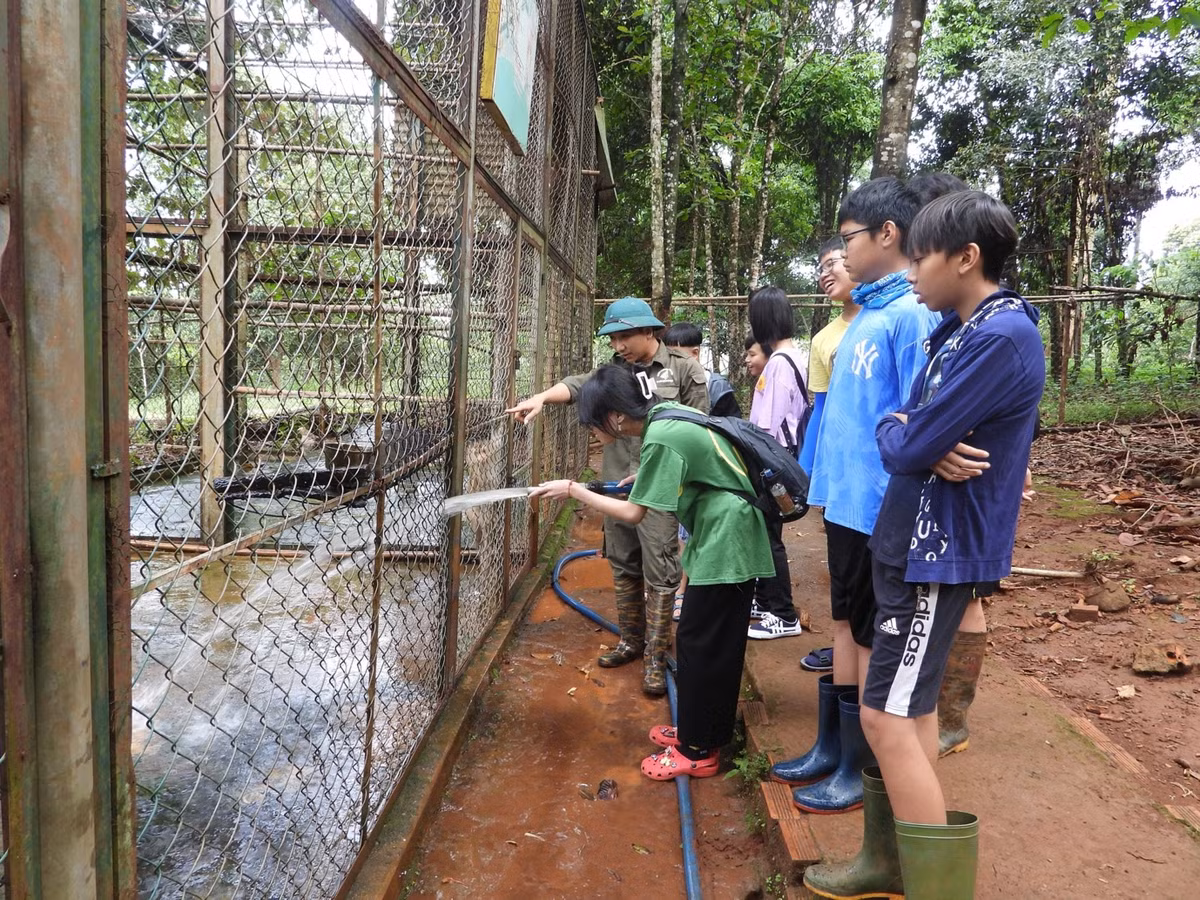 Ngoài ra các bạn còn được cùng nhân viên bảo tồn của Vườn đến thăm, chăm sóc các động vật quý hiếm nơi đây. Tính riêng từ đầu năm đến nay, Vườn quốc gia Bù Gia Mập đã đón hơn 4.500 du khách đến từ các đoàn trong và ngoài tỉnh, tổ chức thành công 2 khóa học kỳ lâm nghiệp với hơn 20 em thiếu nhi tham gia. 
