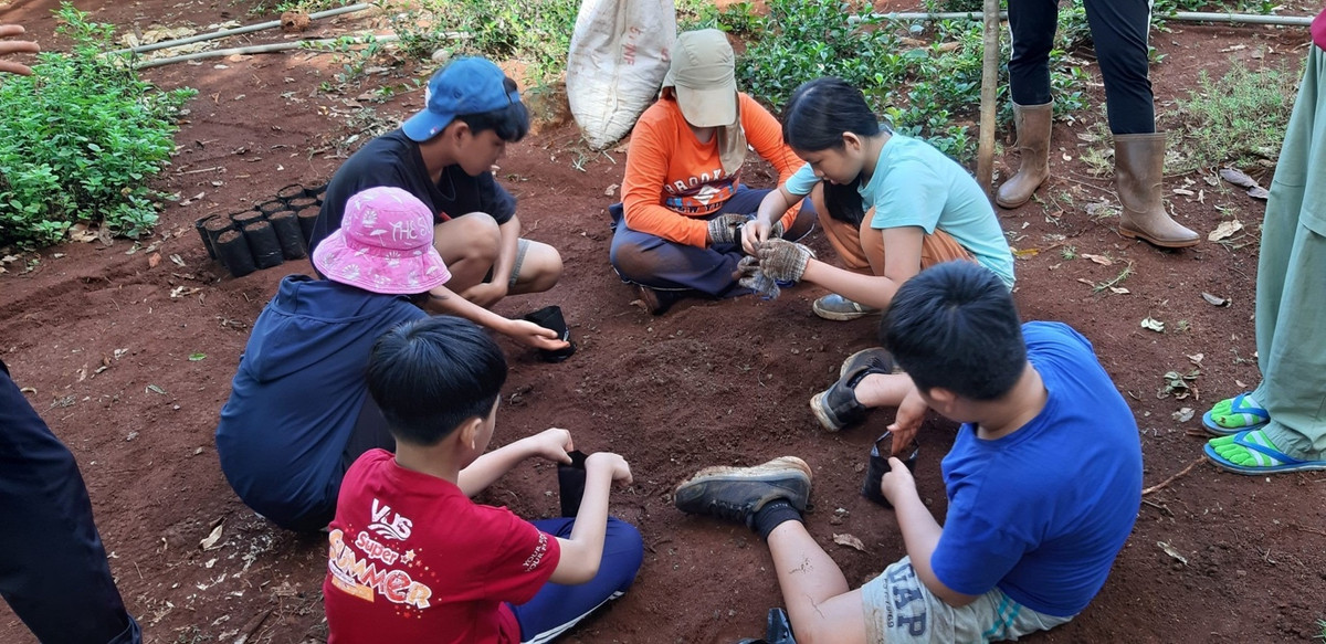 Ngoài ra, Vườn còn chú trọng việc bổ sung các kỹ năng cho thiếu nhi thông qua các khóa học kỳ lâm nghiệp. Tại đây, các em được trải nghiệm thực tế chăm sóc cứu hộ các loài thú quý hiếm tại Trung tâm cứu hộ bảo tồn và phát triển sinh vật, học; thực hành trộn đất, đóng bầu, ươm cây giống, tham gia trồng cây gây rừng, tham gia học hỏi kỹ năng tuần tra bảo vệ rừng cùng các chú kiểm lâm, giao lưu với các bạn nhỏ người dân tộc S’tiêng, dân tộc Mơ Nông và học các kỹ năng sống, chia sẻ yêu thương… từ các thầy cô giáo dạy kỹ năng phụ trách chương trình. 