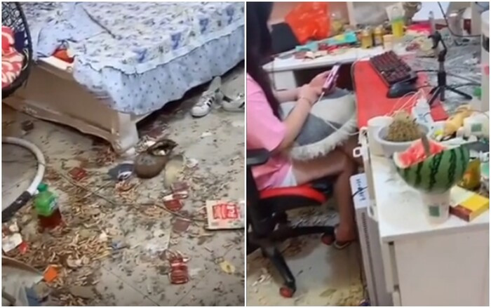 Ngay sau khi đoạn clip xuất hiện trên mạng xã hội, nhiều người không giấu được sự ngao ngán trước lối sống vô ý thức của cô gái trẻ. Không ít netizen để lại bình luận chê bai như: "Căn phòng đấy mà nằm ngủ rồi sinh hoạt được thì tôi cũng chịu thua đấy", "Trời ơi bao nhiêu vụ ở bẩn rồi mà cô này còn kinh tởm hơn",...