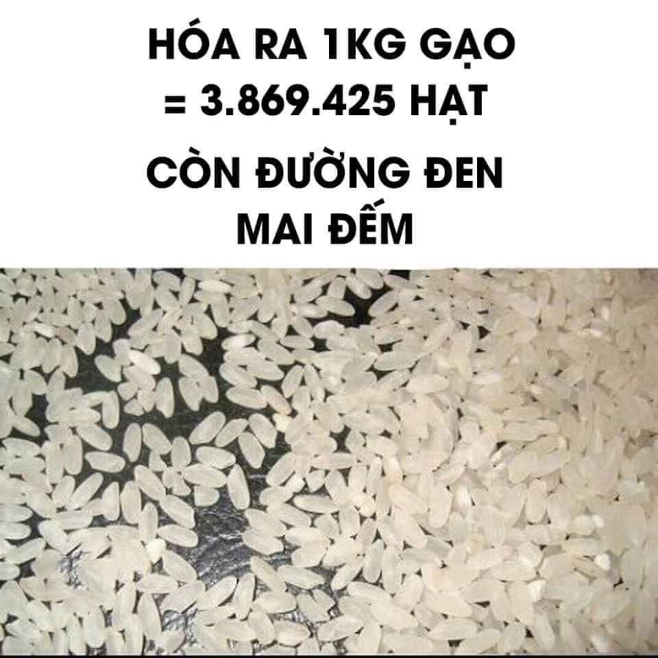 Lý do được đưa ra cho trend này khá đơn giản nhưng lại vô cùng ý nghĩa và đáng yêu: nhắc nhở mọi người thà ở nhà đếm gạo còn hơn ra đường để góp phần đẩy lùi con Cô Vy và sớm trở về cuộc sống bình thường.