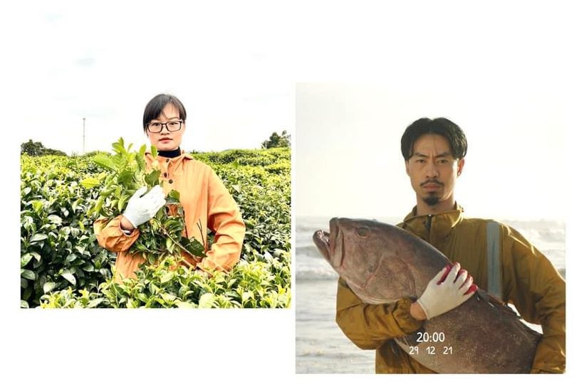 Từ hình ảnh ôm cá bất ngờ trở thành ôm bó trà xanh cũng khá thú vị. Ảnh: Nông trại trà xanh