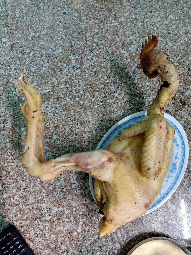 Những “siêu phẩm” gà cúng ngày Tết nhìn vừa tức vừa buồn cười Nhung “sieu pham” ga cung ngay Tet nhin vua tuc vua buon cuoi