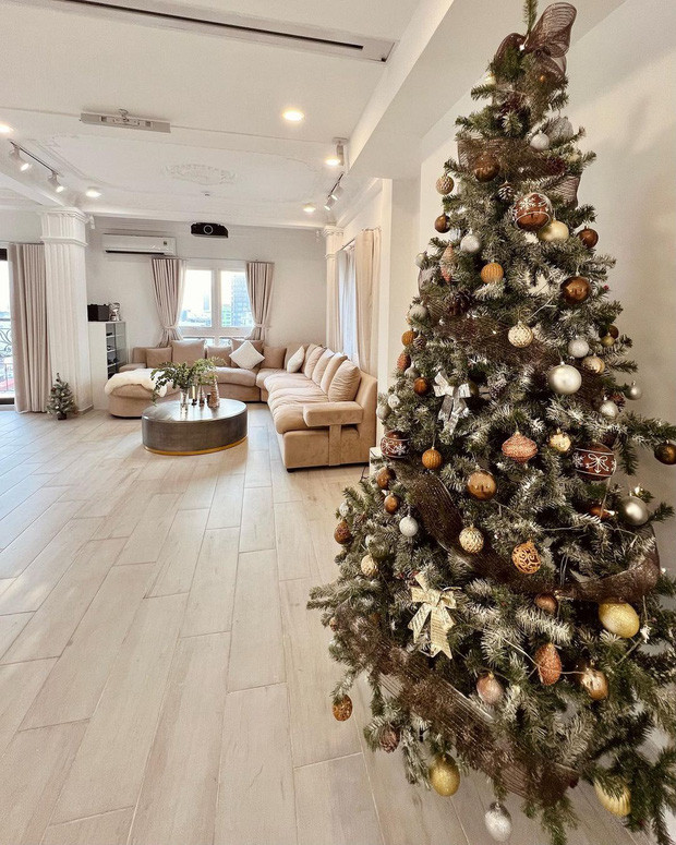 Thay vì chọn tone Noel xanh - đỏ như nhiều người, nữ MC lại chọn tone nâu - bạc khiến tổng thể vừa ấm cúng vừa sang chảnh.