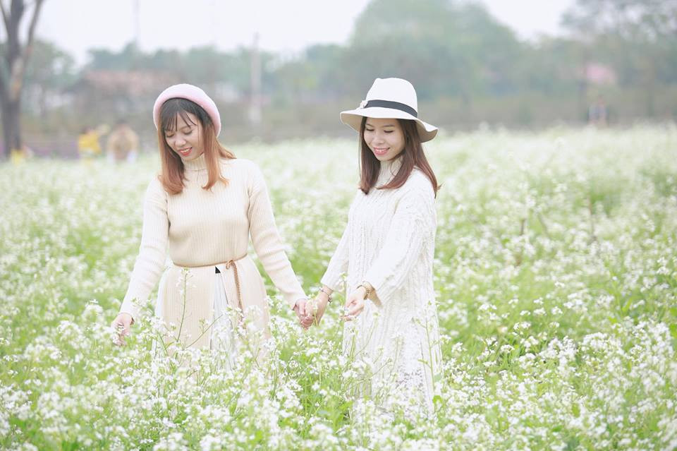 Thảo nguyên hoa Long Biên cũng đang là địa điểm chụp ảnh khiến nhiều bạn trẻ "phát cuồng" trong dịp Tết của Hà Nội.