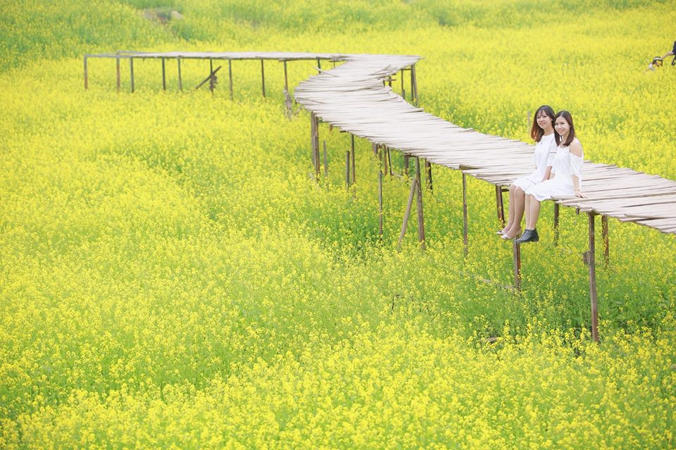 Sức xuân tràn ngập nơi đây vô cùng thích hợp cho bạn và bạn bè có những bức ảnh đẹp.
