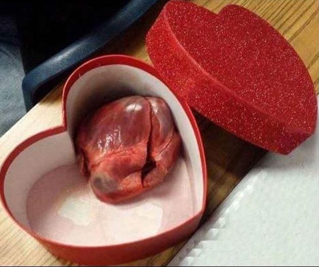 Khi yêu em, anh trao trọn con tim phiên bản tả thực.