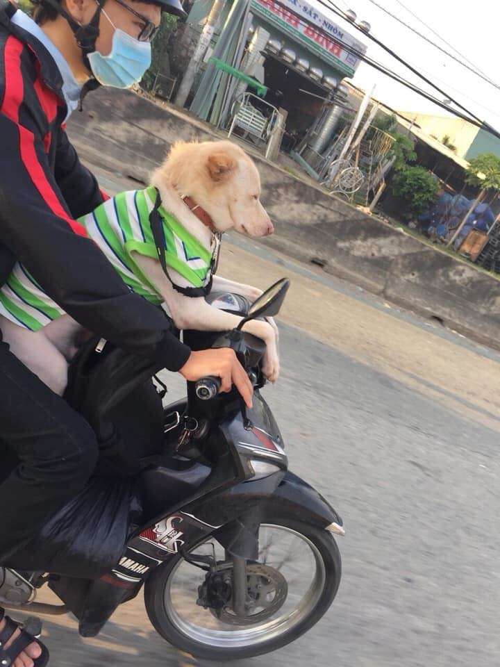 Vào những ngày giáp Tết, hình ảnh về hành trình boss về quê ăn Tết xuất hiện khá nhiều trên MXH và gây chú ý.