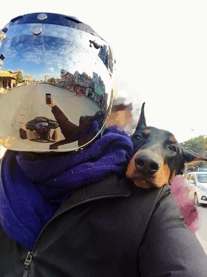 Hành lý chật kín yên trước yên sau nhưng vẫn có riêng chỗ ngồi dành cho boss. Ảnh: Tổng hợp