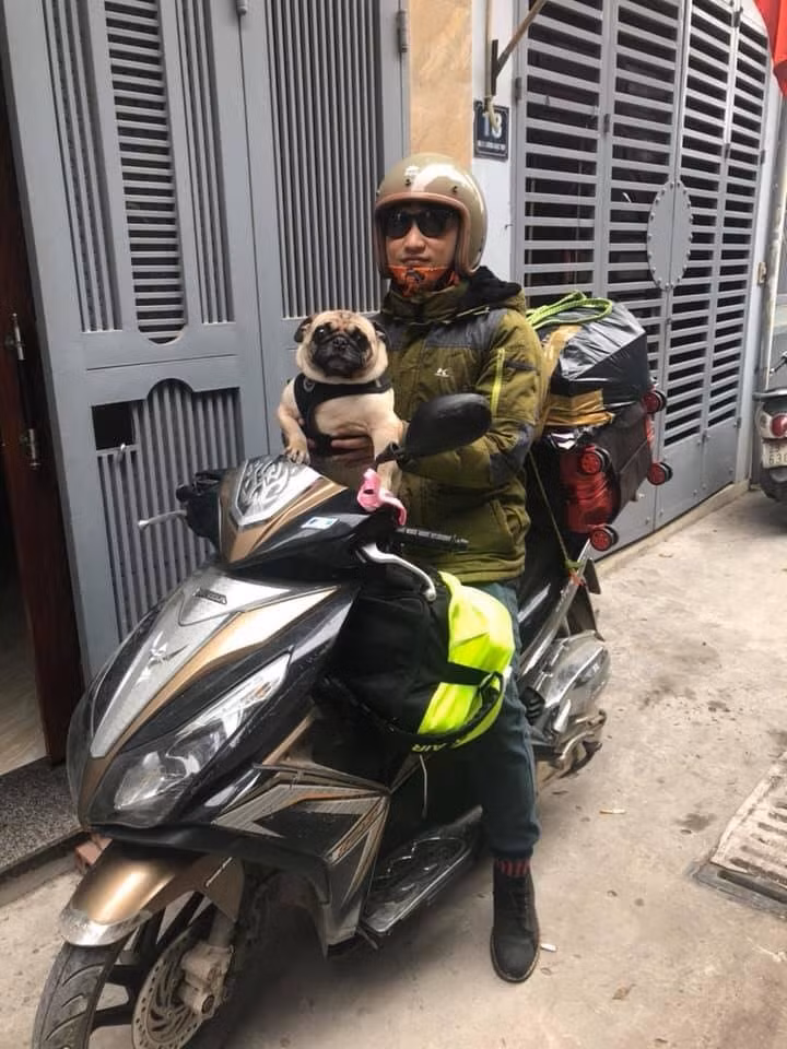 Bất chấp phương tiện đi lại là gì, xe khách, oto, tàu hỏa hay xe máy, người ta cũng phải mang theo người bạn đồng hành nhỏ là chú cún, chú mèo cưng về cùng cho bằng được.