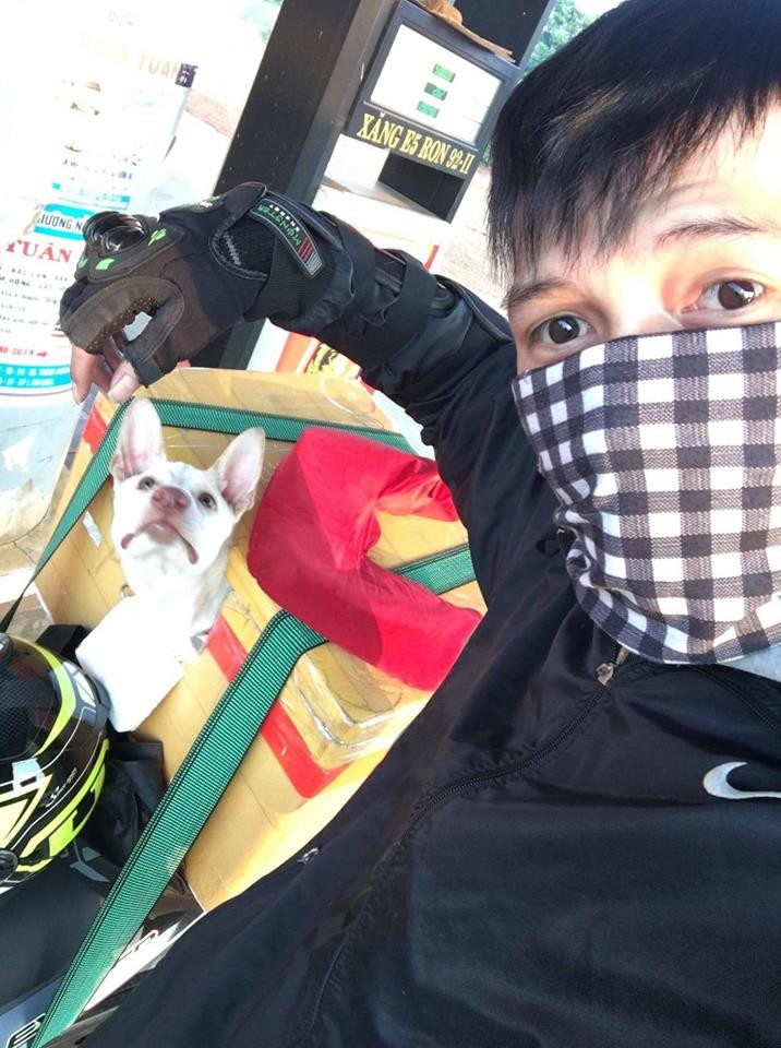 Có sen thì bắt boss ngồi im trong giỏ, cấm ngo ngoe động đậy. Sen nào nhà xa thì xe khách là lựa chọn an toàn nhất.