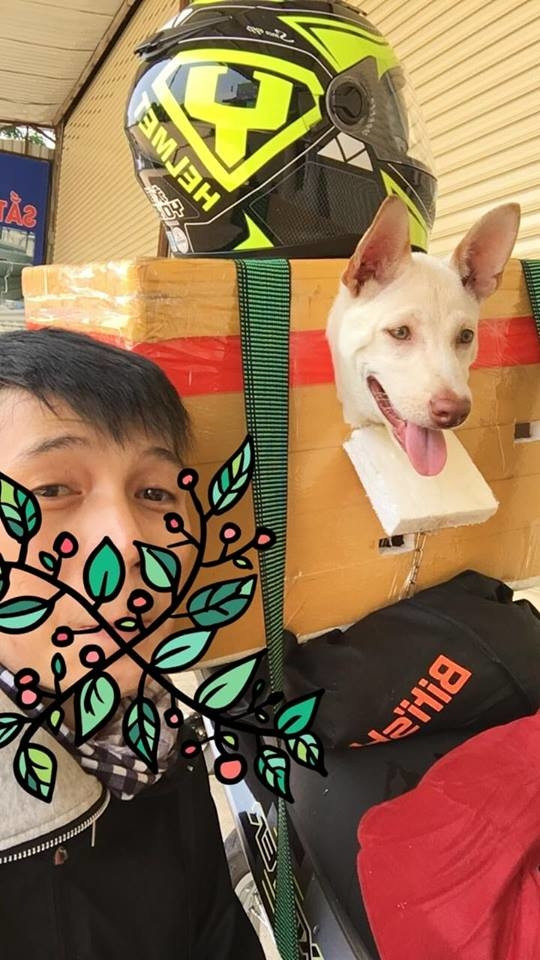 Mỗi hình ảnh boss về quê ăn Tết lại có 1001 kiểu sáng tạo cực hài hước nhưng cũng vô cùng đáng yêu của sen khiến bất cứ ai cũng phải phì cười.